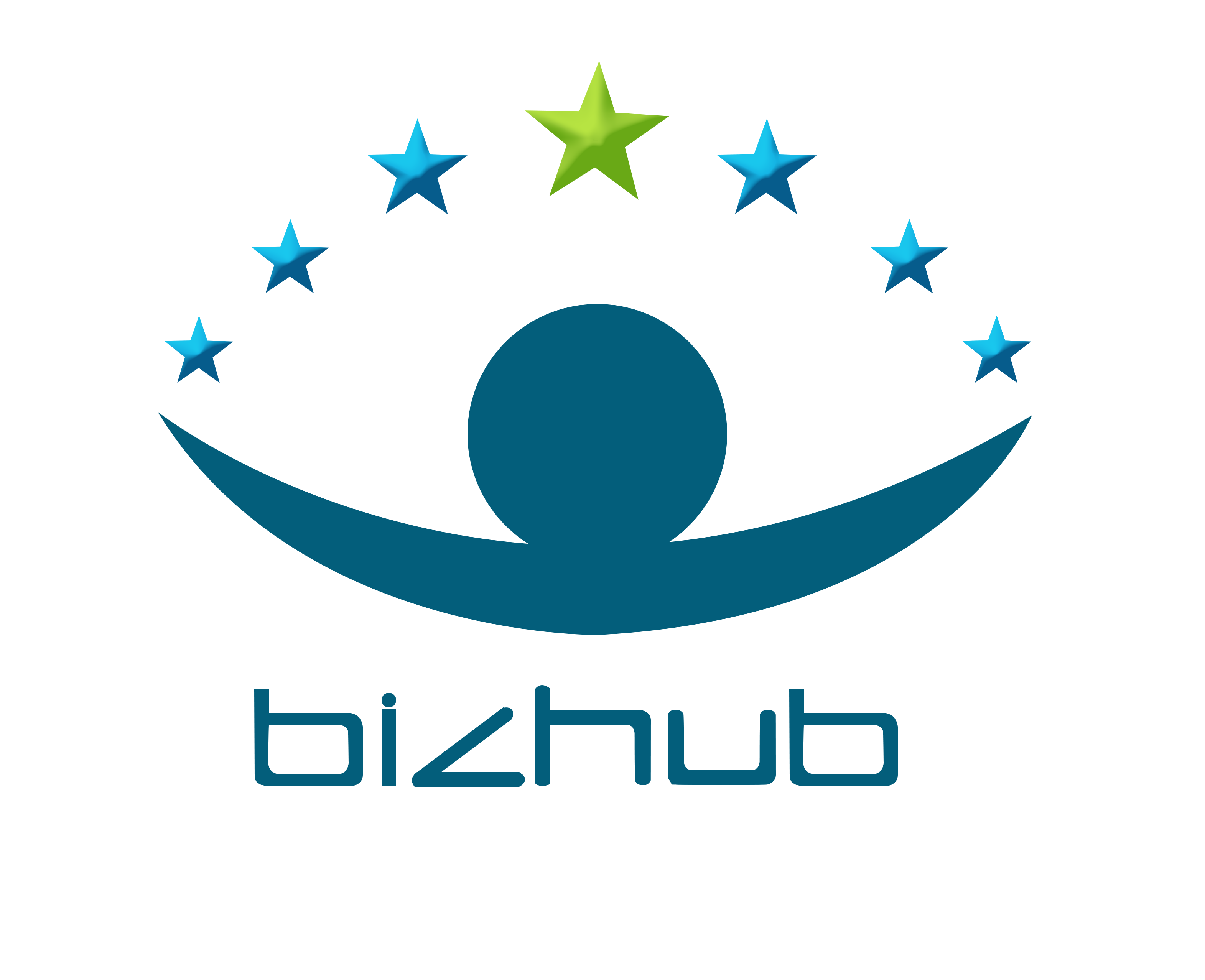 Bizhub consulting Service P. Ltd