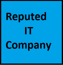 Reputed IT Company