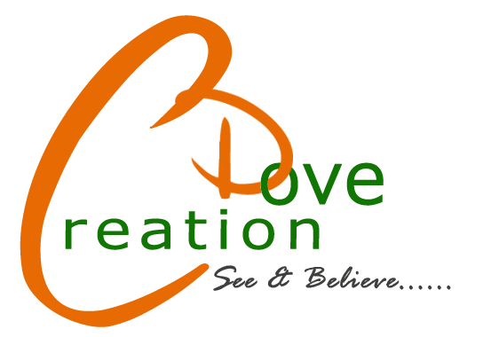 Dove Creation Pvt. Ltd.