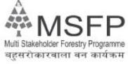 The Multi Stakeholder Forestry Program