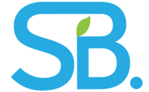 S.B. Web Technology