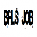 BFLs JOB