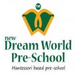 New Dream World Academy